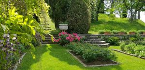Villa La Foce il giardino delle rose e un tralcio di glicine
